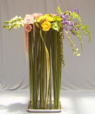 thu 10 march 2011 'inspired from nippon flower designer'